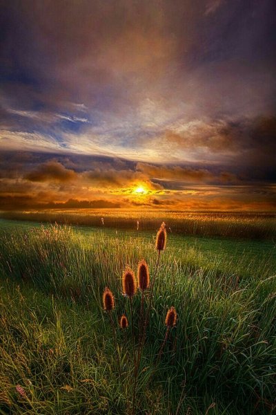 Красивая душевная природа