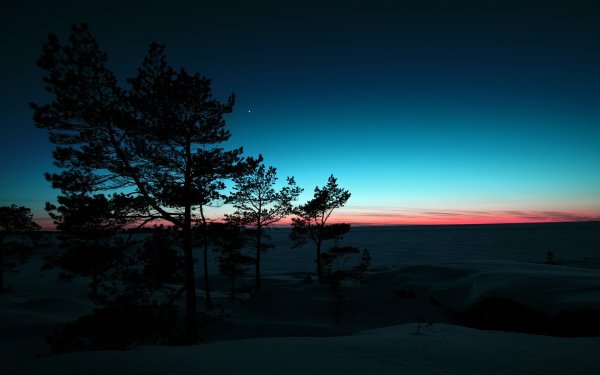 Фон для рабочего стола природа