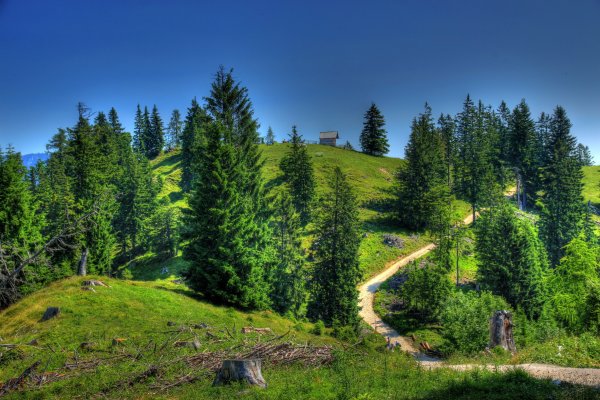 Зеленые холмы Краснодарский край