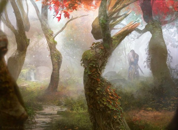 Magic the Gathering Дриада