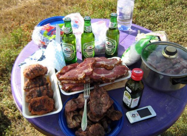 Шашлыки с пивом на даче