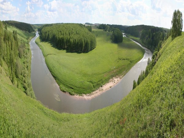 Яблоко с улыбкой