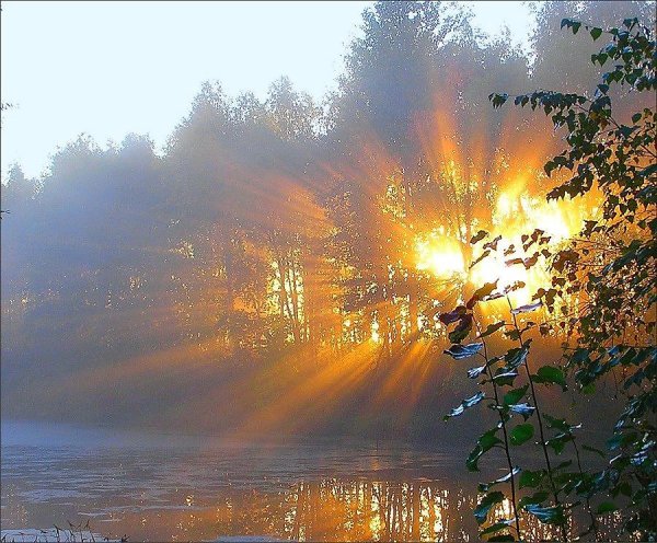Утреннее осеннее солнце