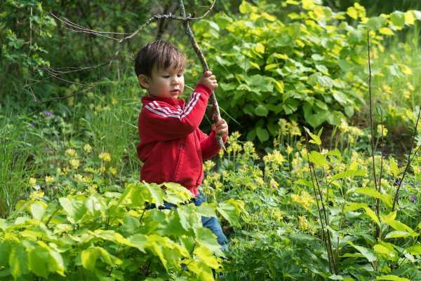 Картограф на природе