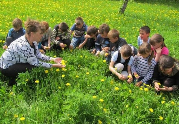 Маленькие исследователи