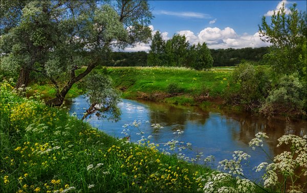 Июнь природа
