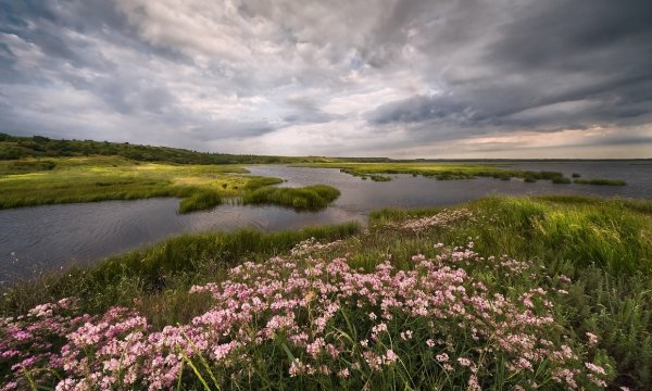 Июньский пейзаж