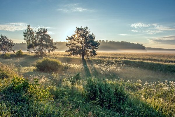 Летний пейзаж
