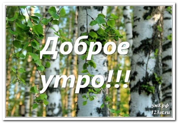 С добрым утром парню с природой