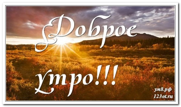 Открытки с добрым утром мужчине бесплатно природа