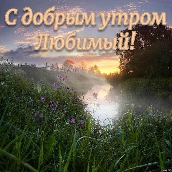 Утро счастье