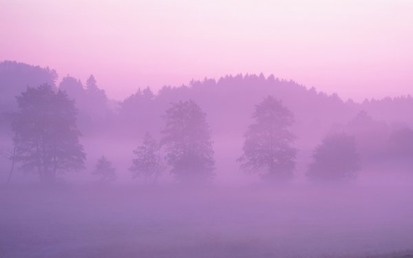 Фон зелень