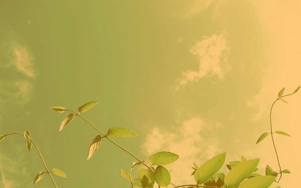 Фиолетовое небо