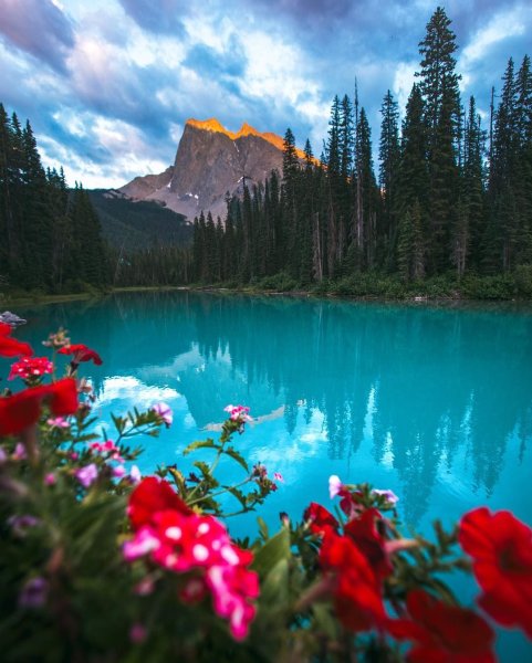 Фотограф Кевин МАКНИЛ Kevin MCNEAL