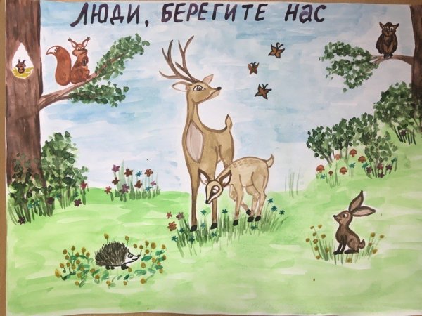 Экологические знаки