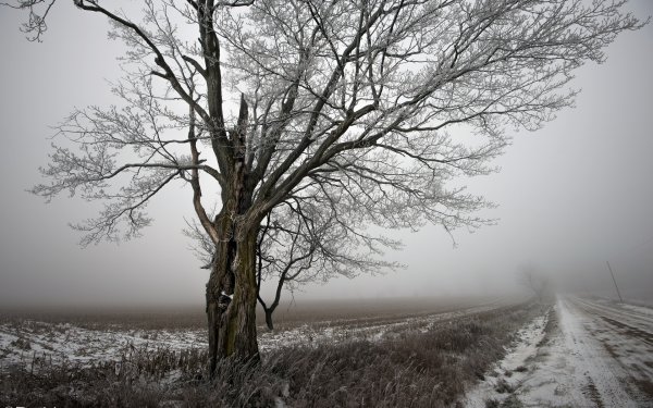 Светлая грусть