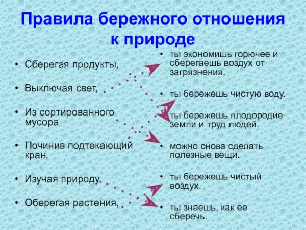 Правила бережного отношения к природе