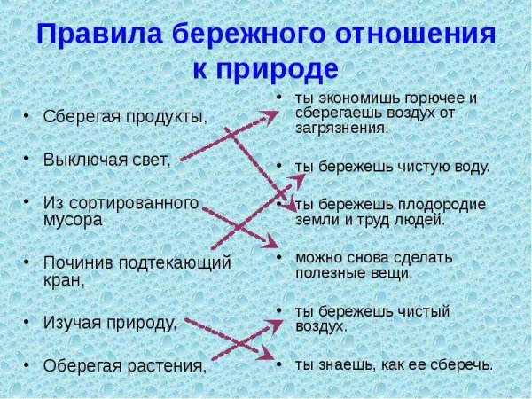 10 Правил бережного отношения к природе
