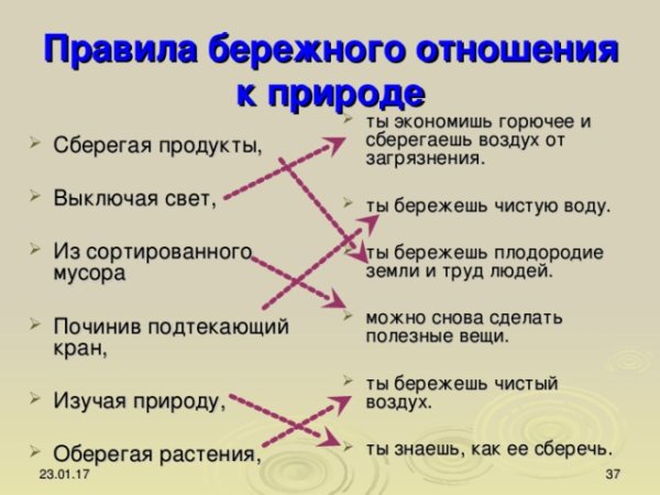 Правило бережного отношения к природе