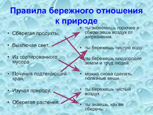 Бережные отношения к природе