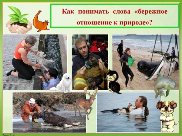 Плакат берегите природу