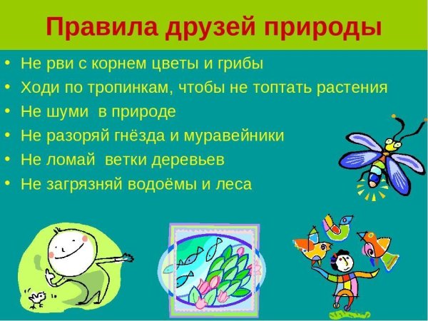 Бережно отношение к природе