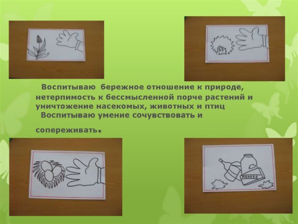 Бережного отношения к природе