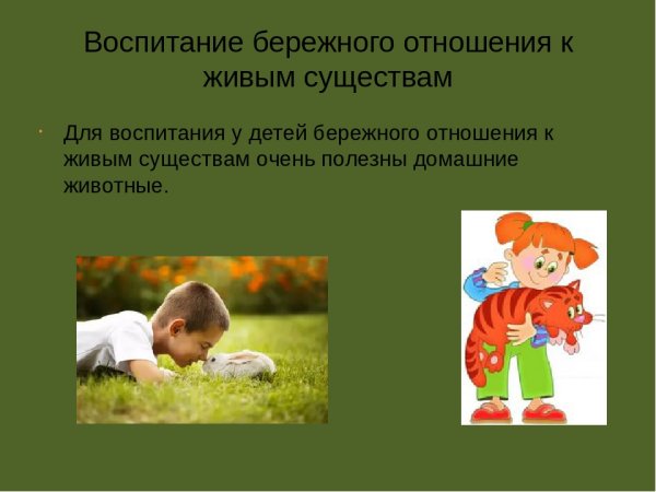 Экологические знаки в подготовительной группе