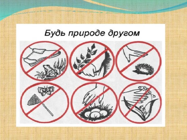Детям об экологии