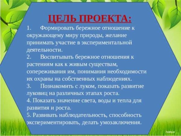 Бережное отношение человека к природе