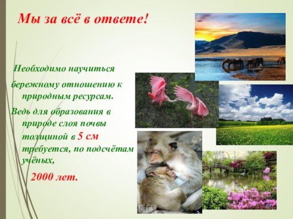 Знаки охраны природы