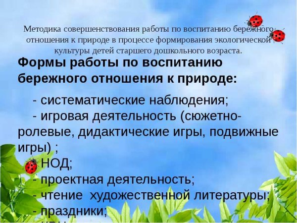 Бережное отношение к природе