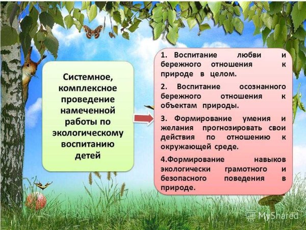 Руки детские протягивают цветы