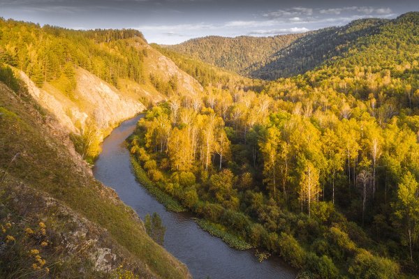 Красноярский край Тайга Енисей