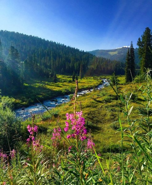Река Буйба Красноярский край