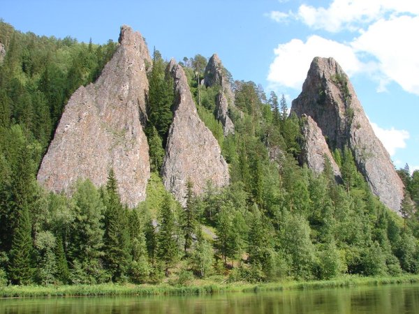 Красноярск природа Тайга