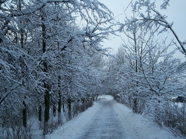 Капризы природы