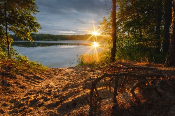 Берег озера в лесу