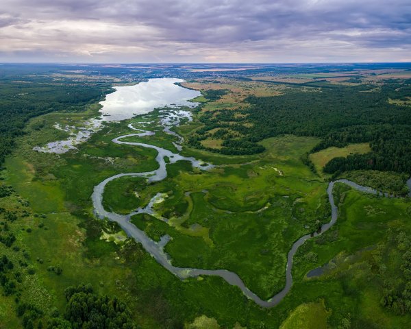 Пейзаж с высоты птичьего полета