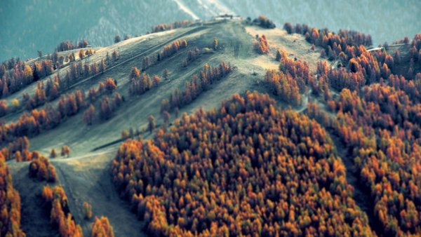Пейзаж с высоты птичьего полета