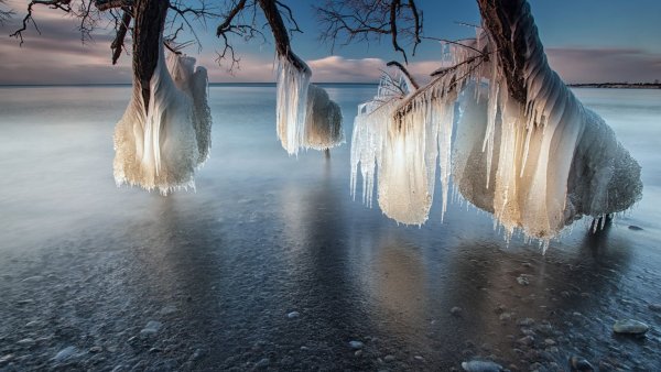 Необычная природа