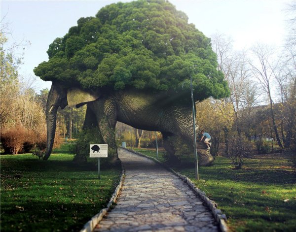 Слэклайнинг Гранд каньон