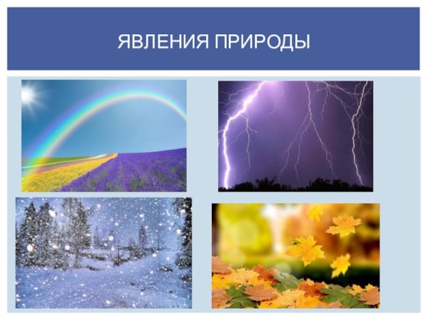 Сезонные явления в природе