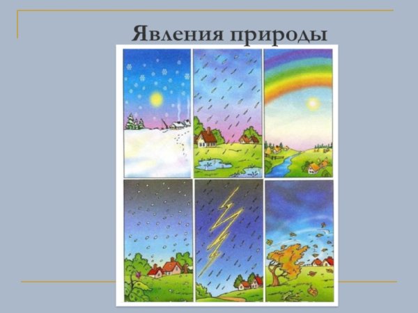 Уголок природы для малышей