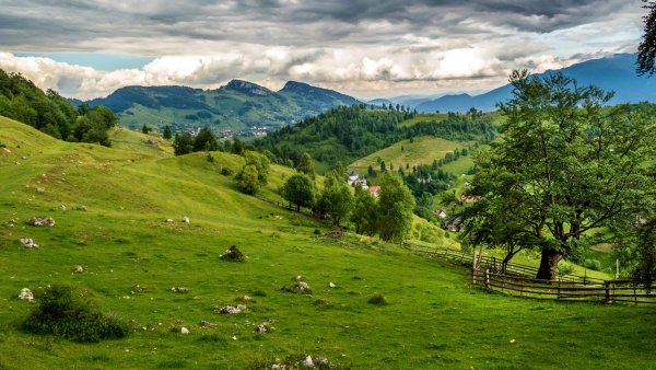 Брашов Румыния леса горы