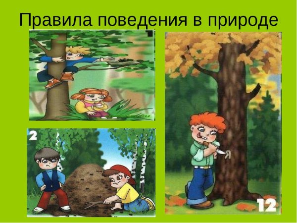 Правило поведения на природе для детей