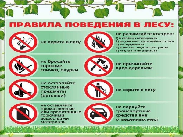 Ситуации в лесу для детей