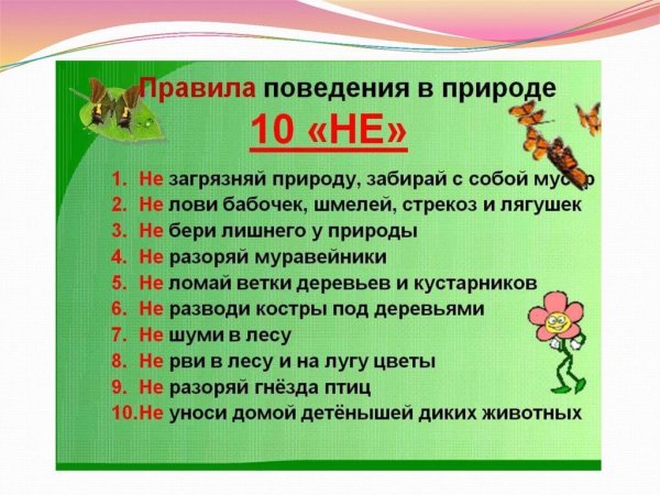 Экология для детей дошкольного возраста