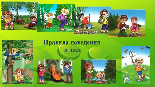 Правила поведения на природе