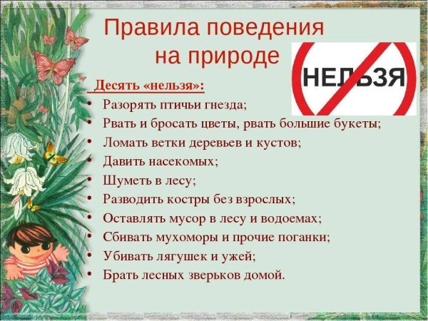 Безопасность на природе